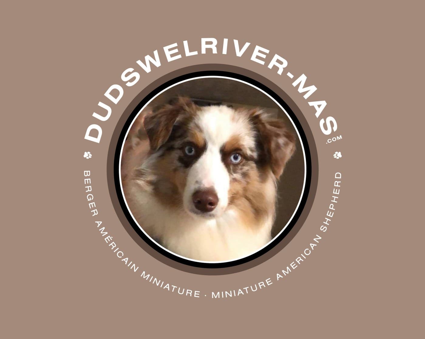 Emblème Dudswelriver — Berger Américain Miniature